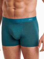 Εικόνα της Walk Πετρόλ Seamless BoXer Bamboo.