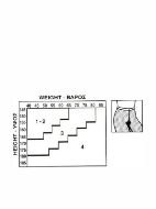 Εικόνα της IDER Melvil Διχτυωτό Γυναικείο Καλσόν Μαύρο 1604