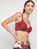 Εικόνα της Gisela ριγέ μπορντό σουτιέν με μπανέλα και ελαφριά επένδυση.