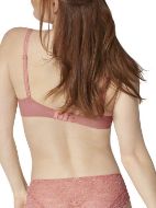 Εικόνα της Triumph Amourette 300 Terracotta.